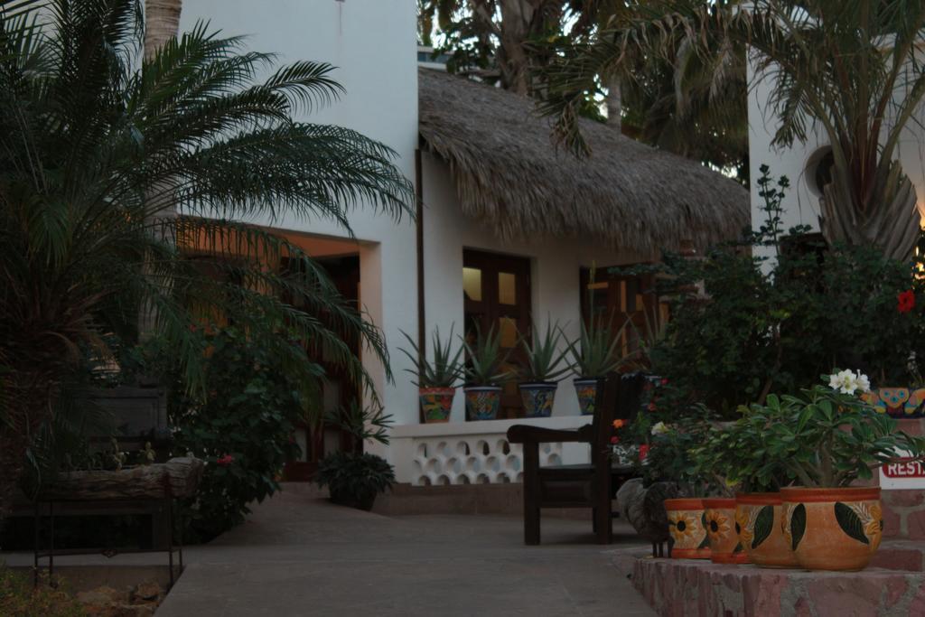 Hotel Casa Costa Azul San José del Cabo Exterior foto